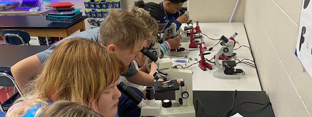 Students use microscopes to study cells