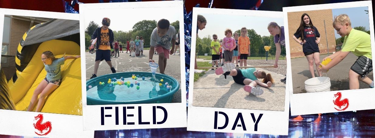 NIS Field Day