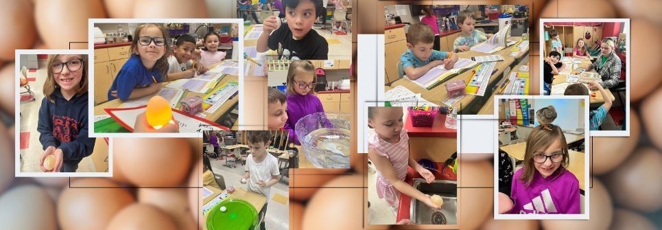 1st graders conduct various experiments using eggs!