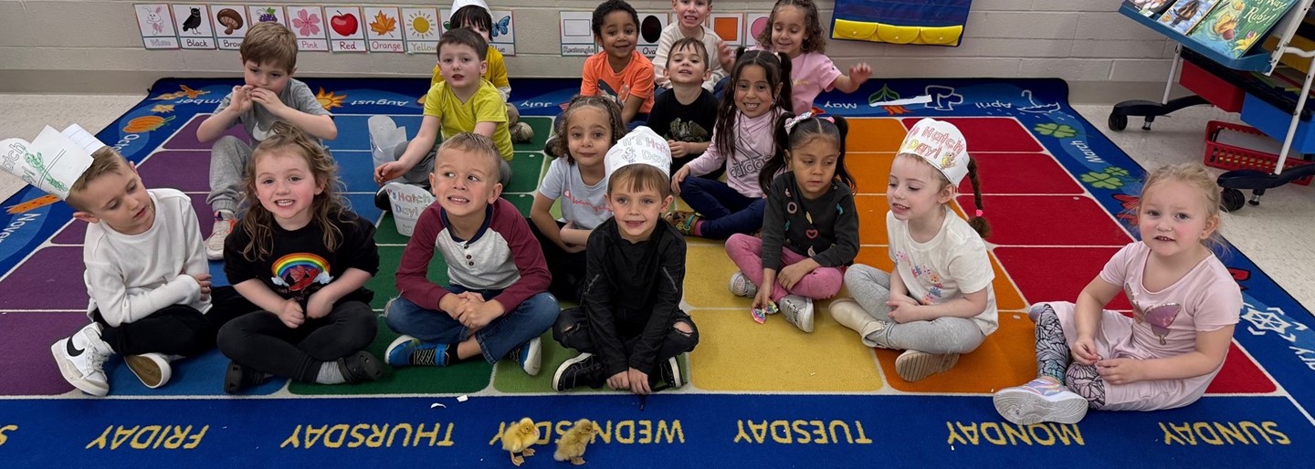 Preschool students celebrate the arrival of their baby ducks!